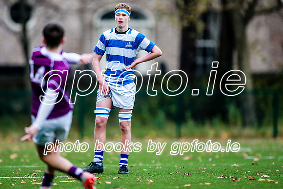 16-11-2019-CGJ22533.JPG