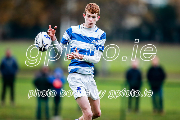16-11-2019-CGJ22760.JPG