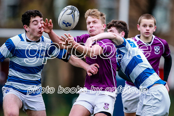16-11-2019-CGJ23035.JPG
