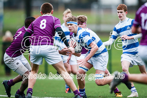 16-11-2019-CGJ23187.JPG