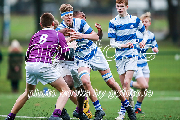 16-11-2019-CGJ23189.JPG