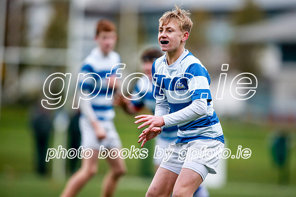 16-11-2019-CGJ23202.JPG