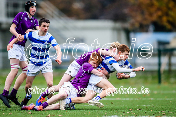 16-11-2019-SWYL1155.JPG
