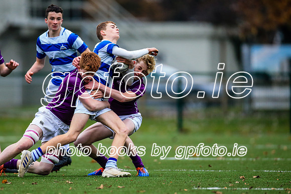 16-11-2019-SWYL1154.JPG