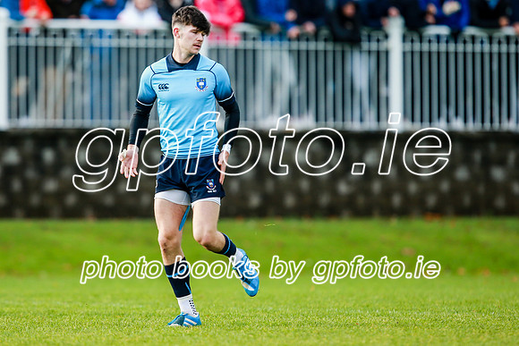 16-11-2019-CGJ21234.JPG