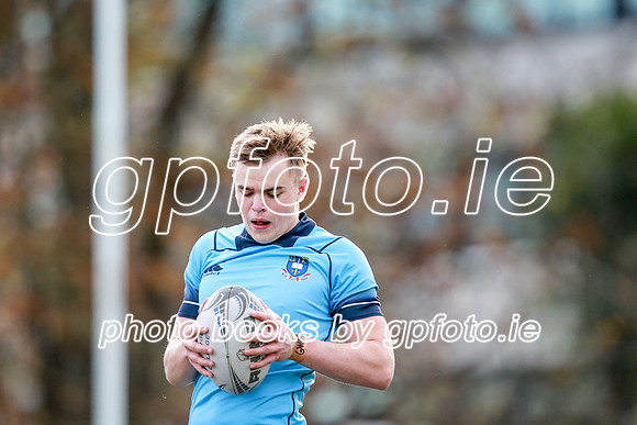16-11-2019-CGJ21272.JPG