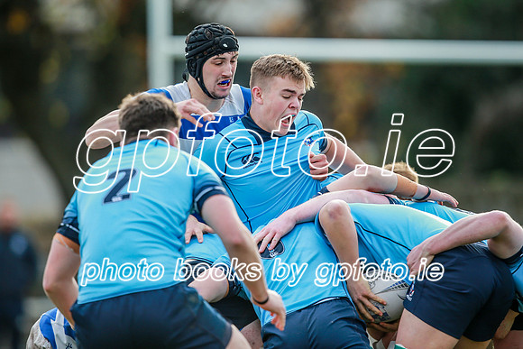 16-11-2019-CGJ21278.JPG