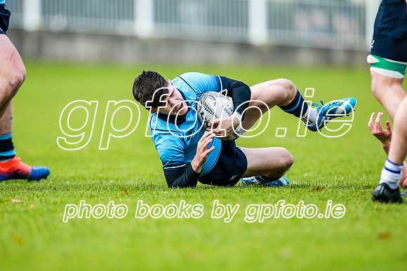 16-11-2019-CGJ21333.JPG