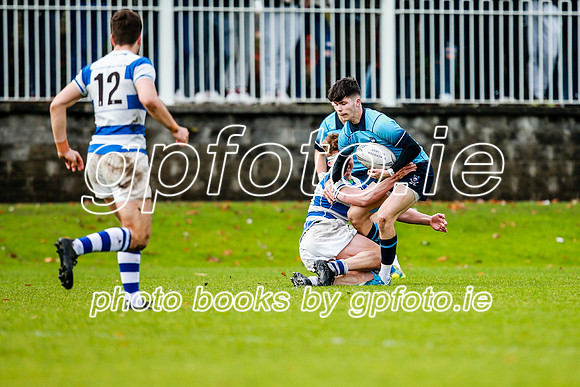 16-11-2019-CGJ21356.JPG
