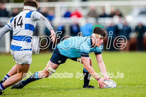 16-11-2019-CGJ21550.JPG