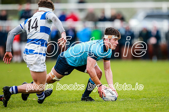 16-11-2019-CGJ21551.JPG