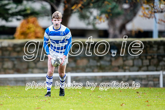 16-11-2019-CGJ21247.JPG
