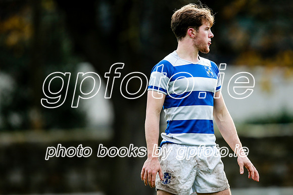 16-11-2019-CGJ21256.JPG