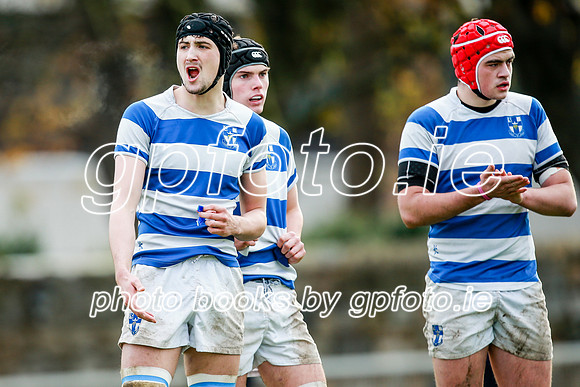 16-11-2019-CGJ21257.JPG