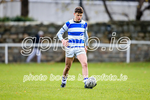 16-11-2019-SWYL9482.JPG