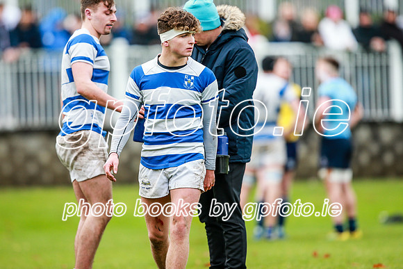 16-11-2019-CGJ21428.JPG