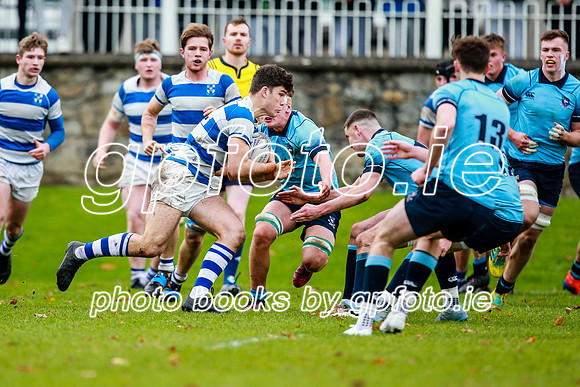 16-11-2019-CGJ21443.JPG