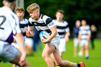 Belvedere V Pres Cork 1st Half JCT