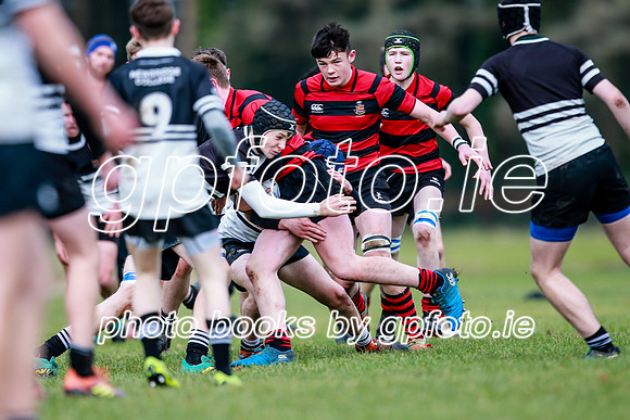 20-11-2019-CGJ23414.JPG