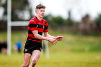 20-11-2019-CGJ23760.JPG