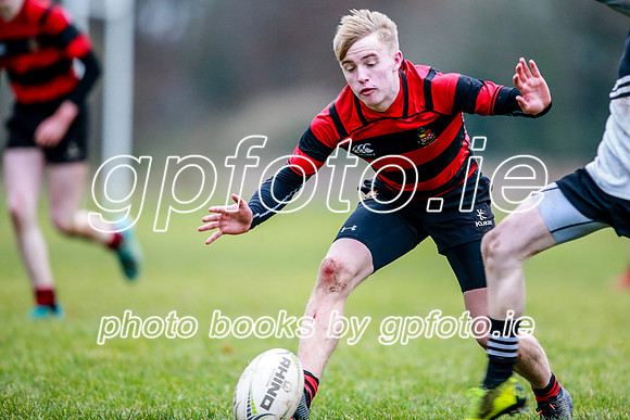 20-11-2019-CGJ24079.JPG