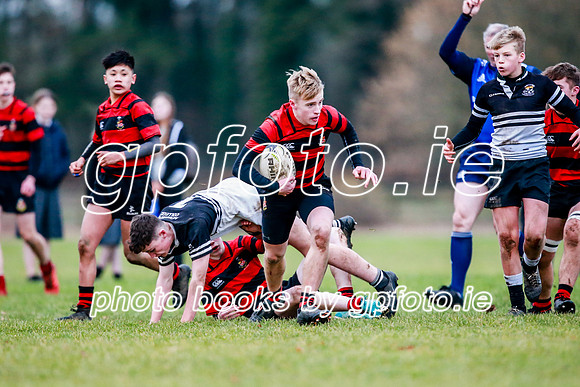 20-11-2019-CGJ24253.JPG