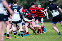 20-11-2019-CGJ23414.JPG