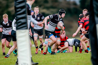 20-11-2019-CGJ23537.JPG