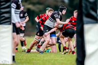 20-11-2019-CGJ23539.JPG