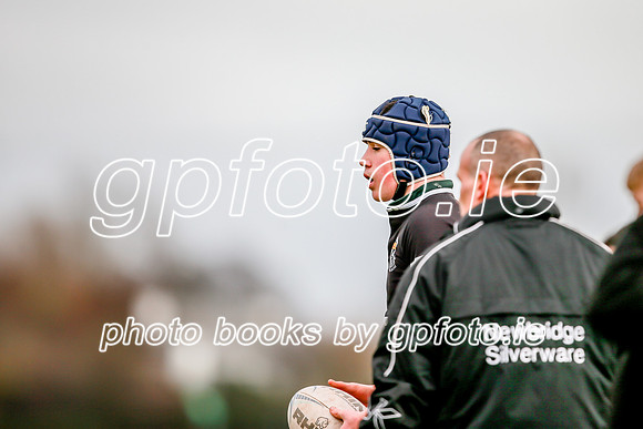 20-11-2019-CGJ23572.JPG