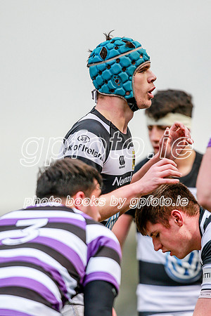 23-11-2019-CGJ24773.JPG