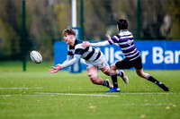 23-11-2019-CGJ25421.JPG