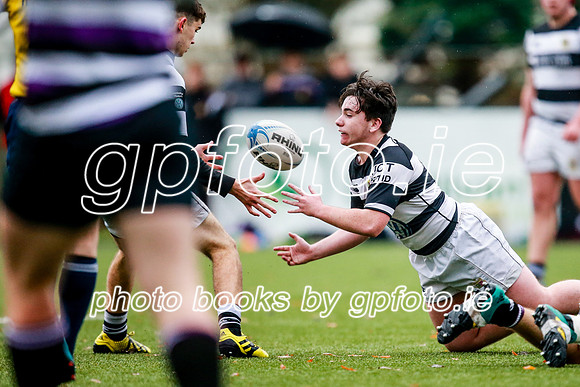 23-11-2019-CGJ25747.JPG