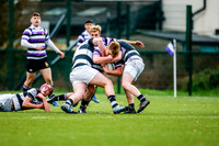 23-11-2019-CGJ24665.JPG