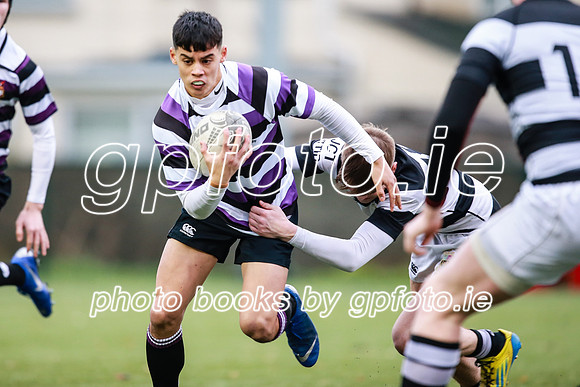 23-11-2019-CGJ24756.JPG