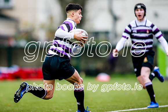 23-11-2019-CGJ24751.JPG