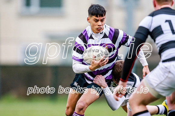 23-11-2019-CGJ24758.JPG