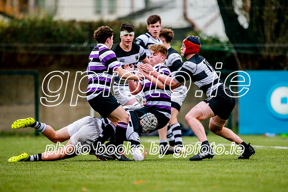 23-11-2019-CGJ25045.JPG