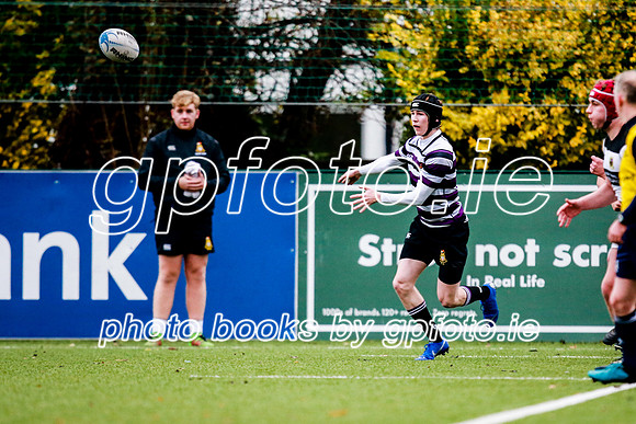 23-11-2019-CGJ25103.JPG