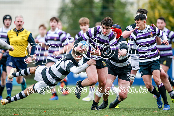 23-11-2019-CGJ25108.JPG