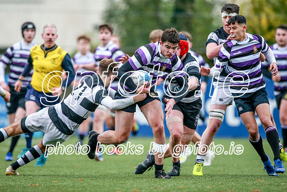 23-11-2019-CGJ25107.JPG
