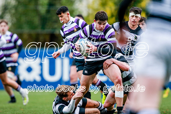 23-11-2019-CGJ25112.JPG