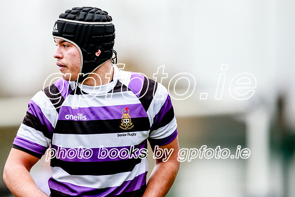 23-11-2019-CGJ25320.JPG