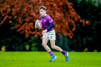 23-11-2019-CGJ26088.JPG