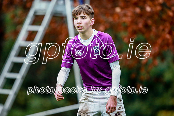 23-11-2019-CGJ26118.JPG