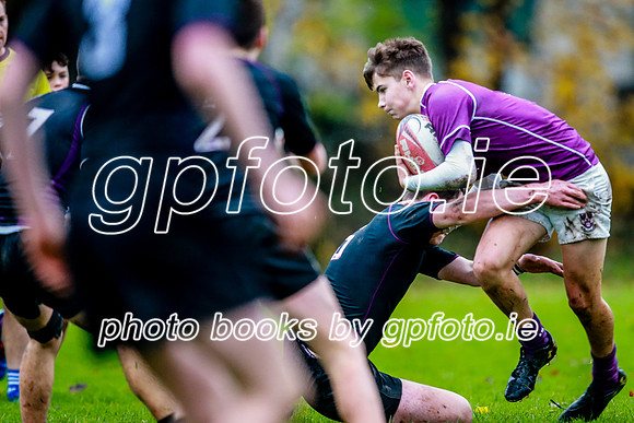 23-11-2019-CGJ26205.JPG