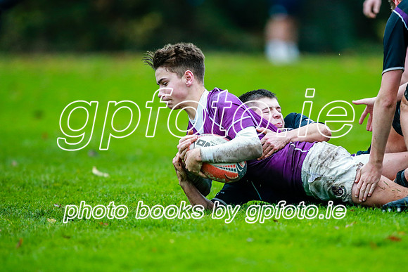 23-11-2019-CGJ26332.JPG