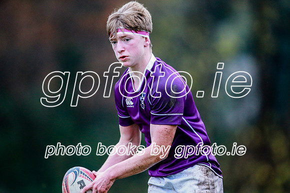23-11-2019-CGJ26392.JPG