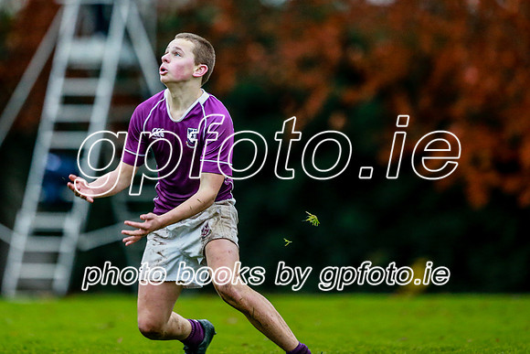 23-11-2019-CGJ26480.JPG