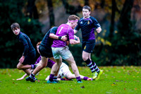 23-11-2019-CGJ26257.JPG